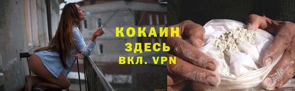 шишки Арсеньев