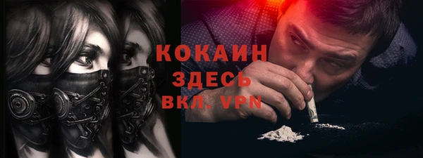 шишки Арсеньев