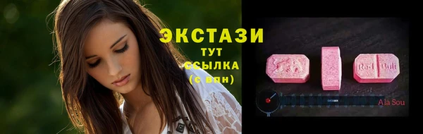 шишки Арсеньев