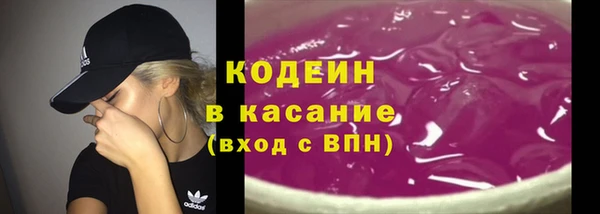 шишки Арсеньев