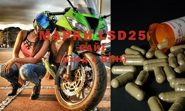 PSILOCYBIN Михайлов