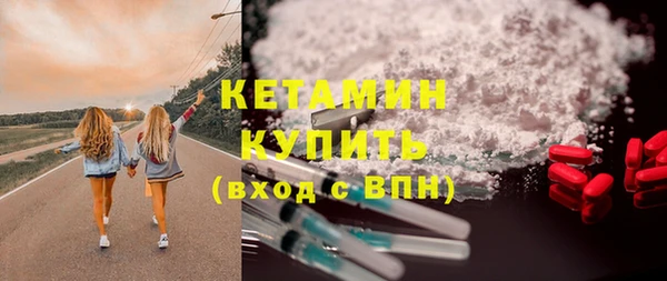 шишки Арсеньев